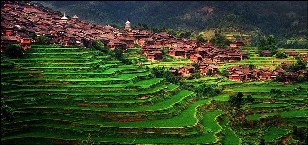 Housing built around the terraced rice fields in Xijiang Qianhu Miao Village, China.