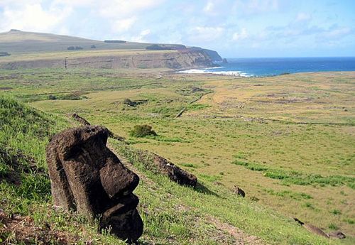 Head of an Easter Island Moai.